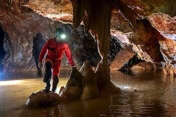 Phil Bence - un monde souterrain